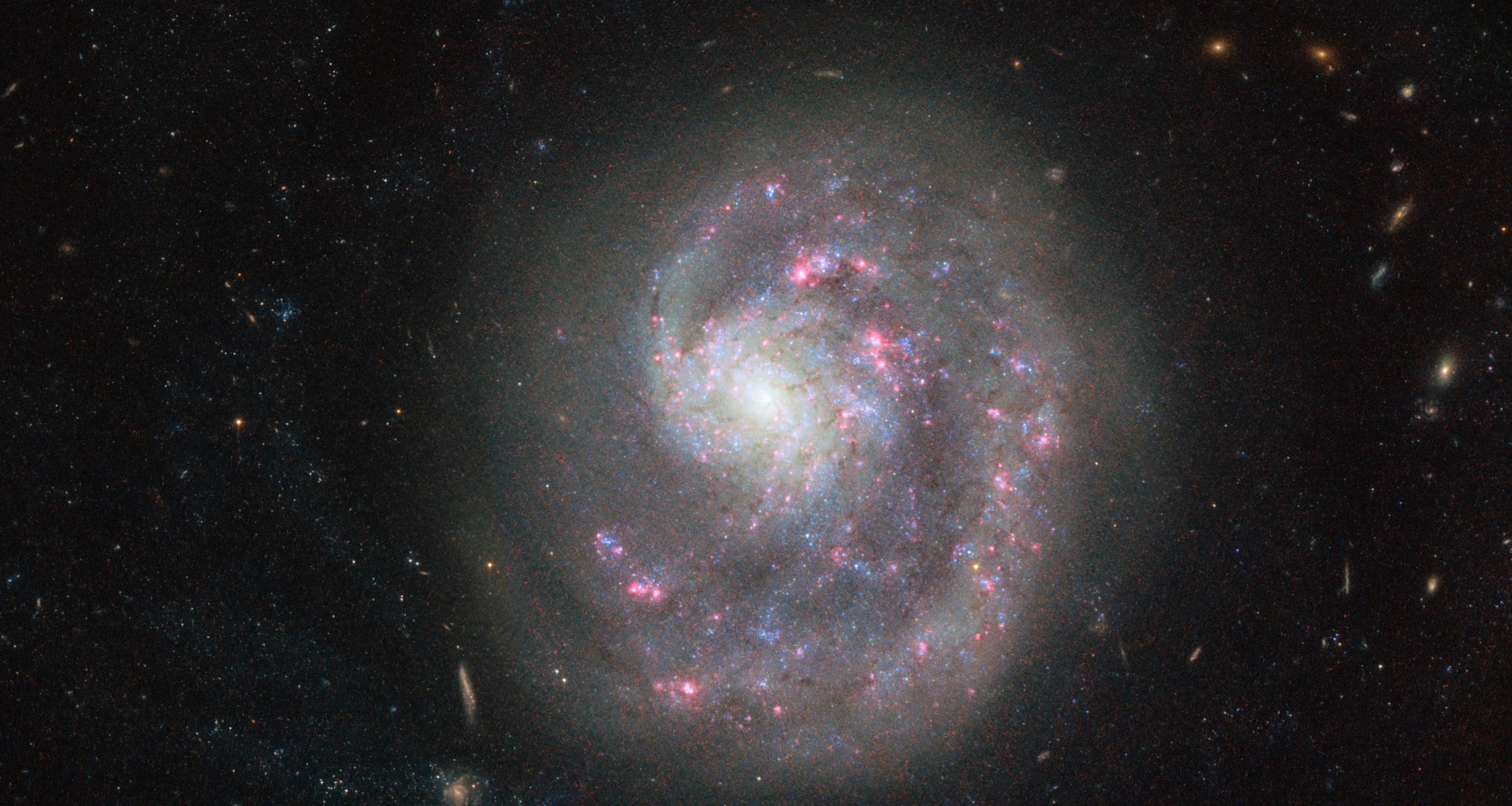 Beautiful full disc spiral galaxy with pink and blue swirls
