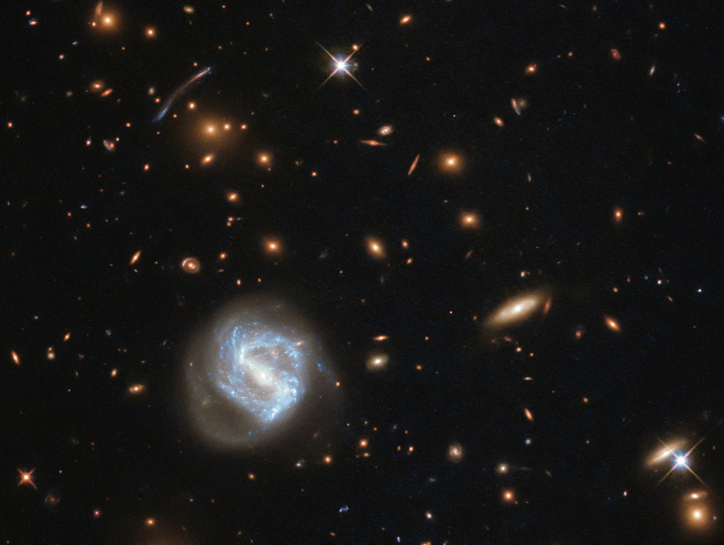 Larger blue-white galaxy in a field of background orange galaxies