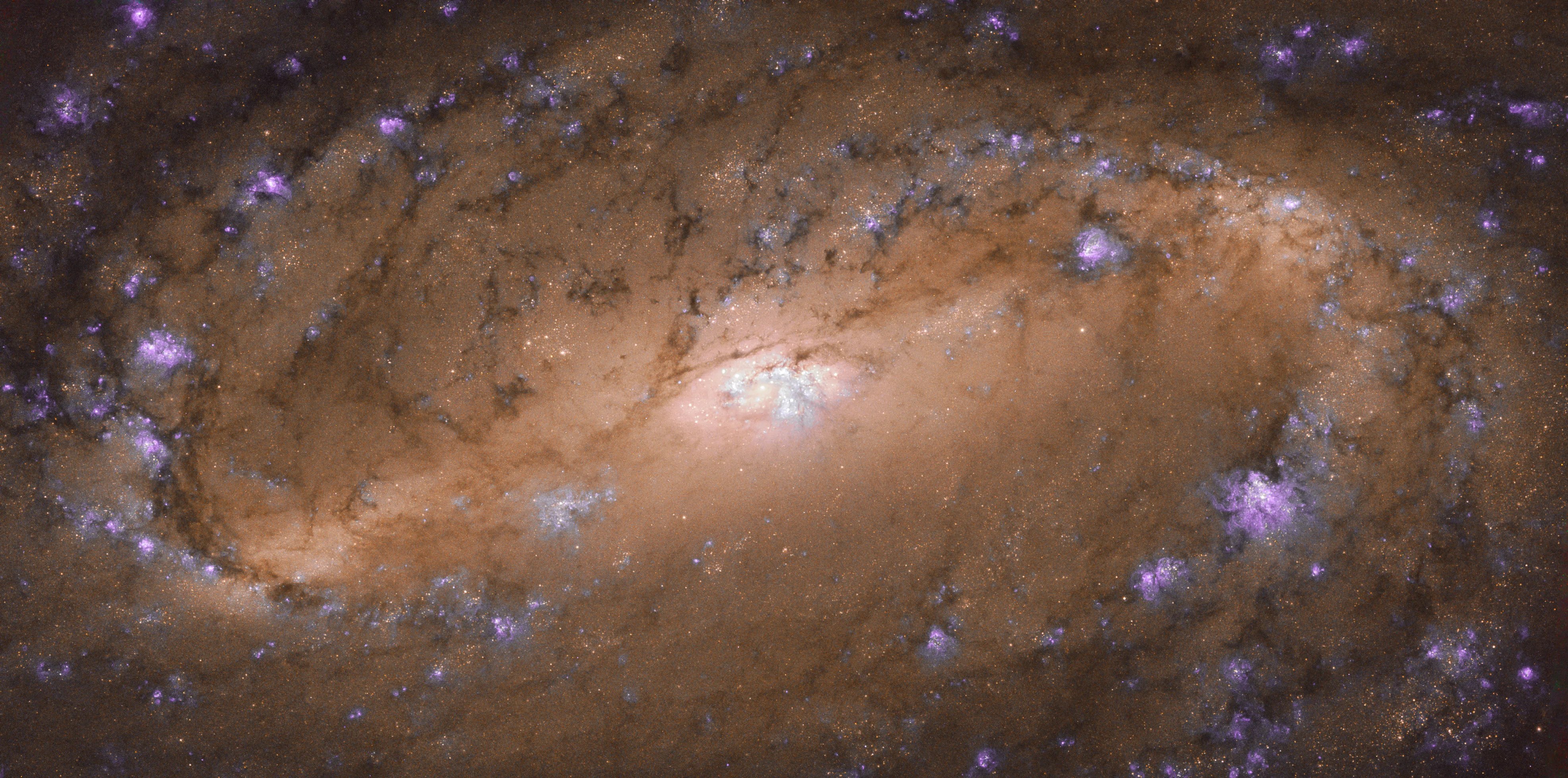 Hubble image of ngc 2903