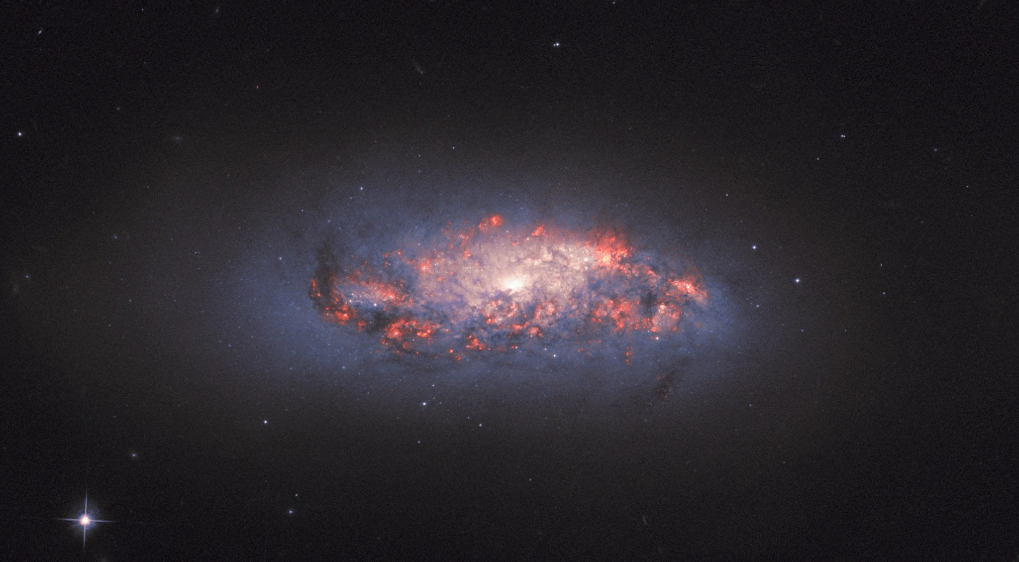 Spiral galaxy ngc 972