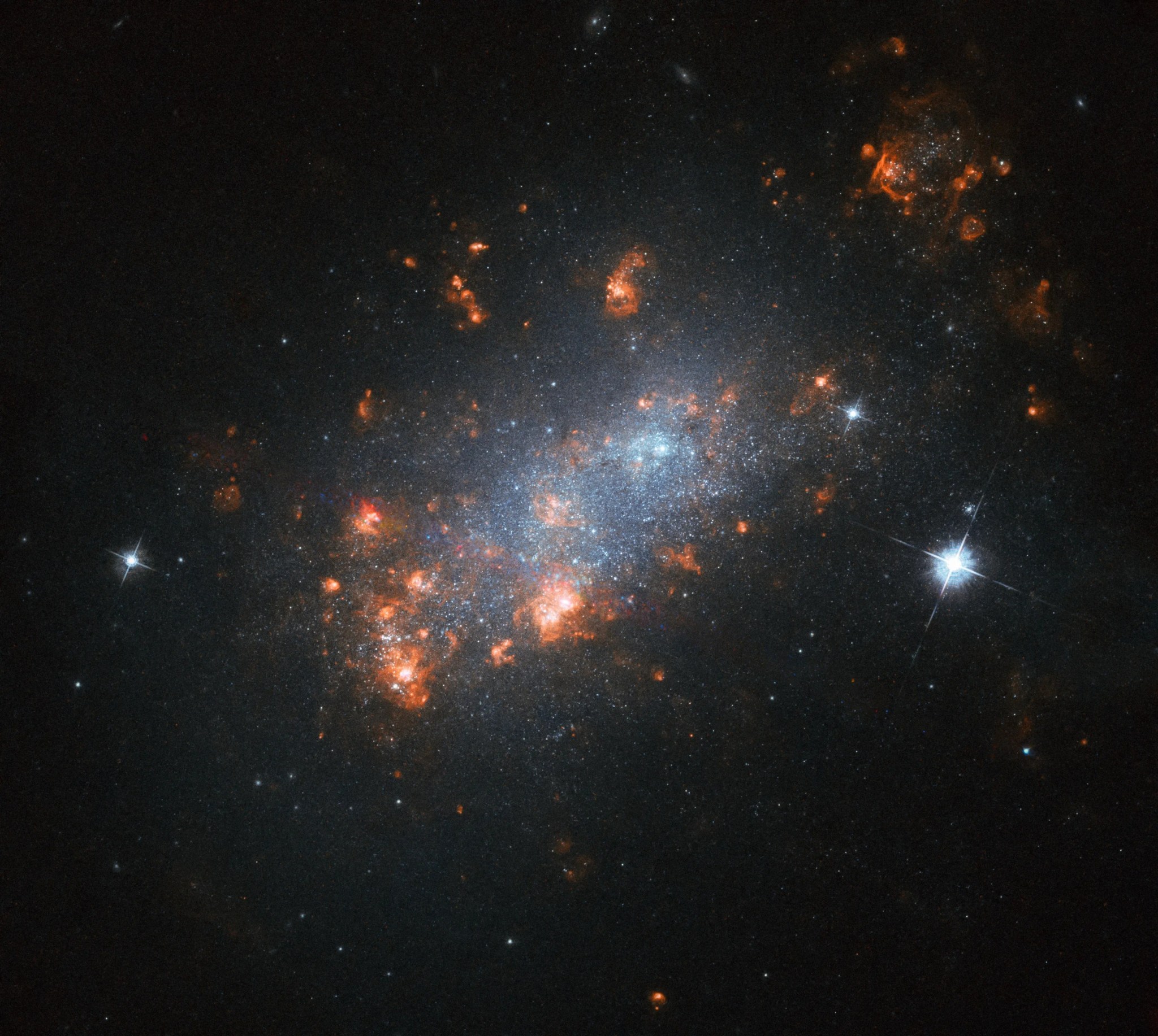 Ngc 1156