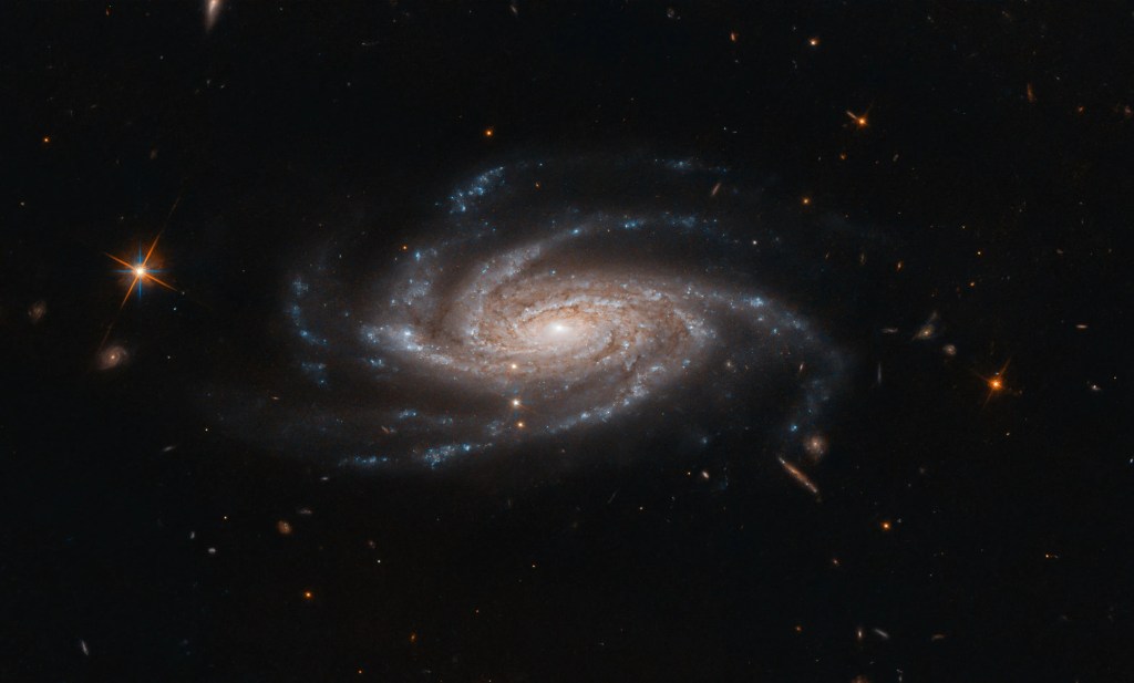 
			Hubble Embraces Spiral With Open Arms - NASA Science			