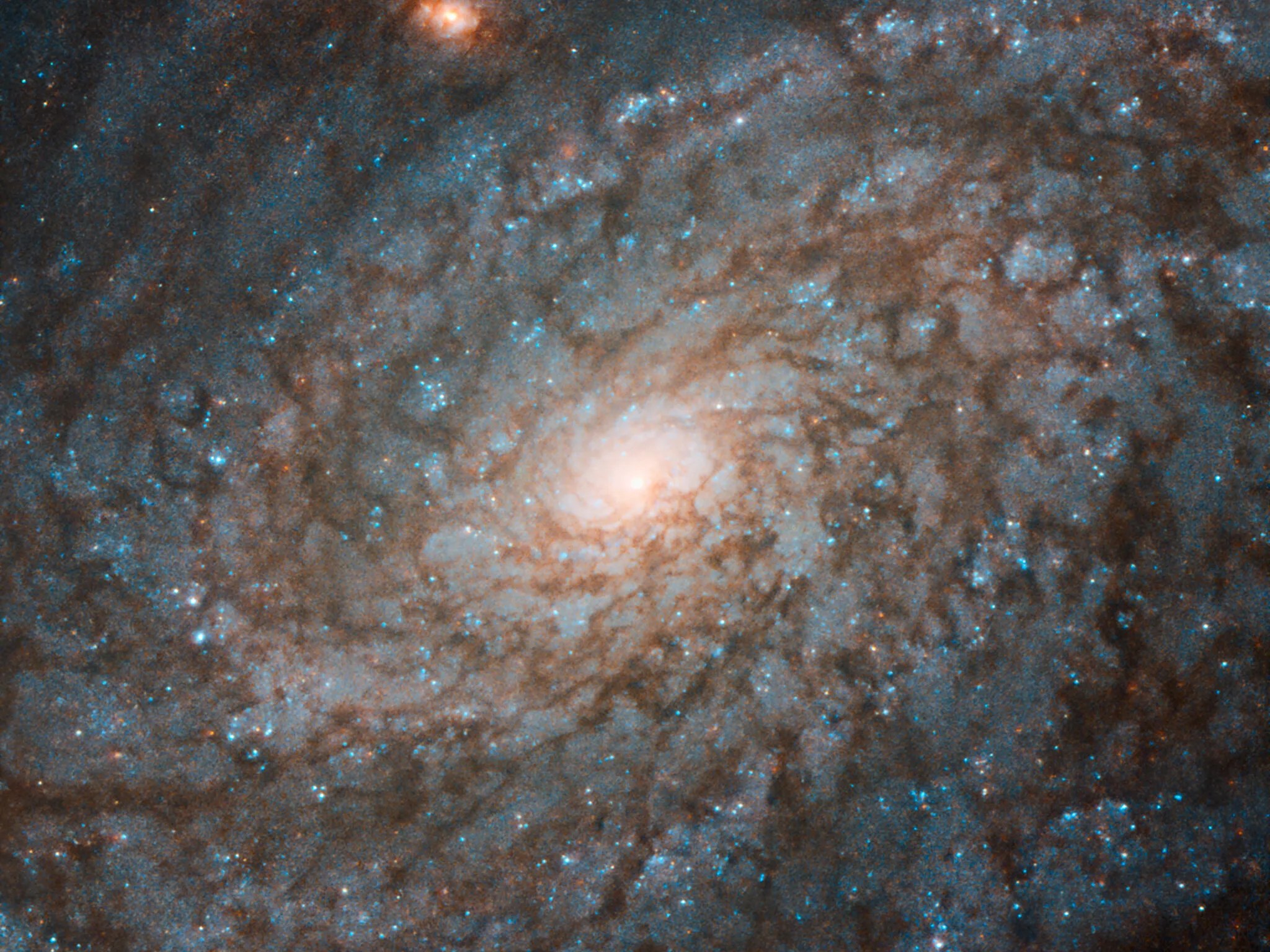 Flocculent spiral galaxy ngc 4237