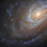 potw2013a-jpg.webp?w=150&h=150