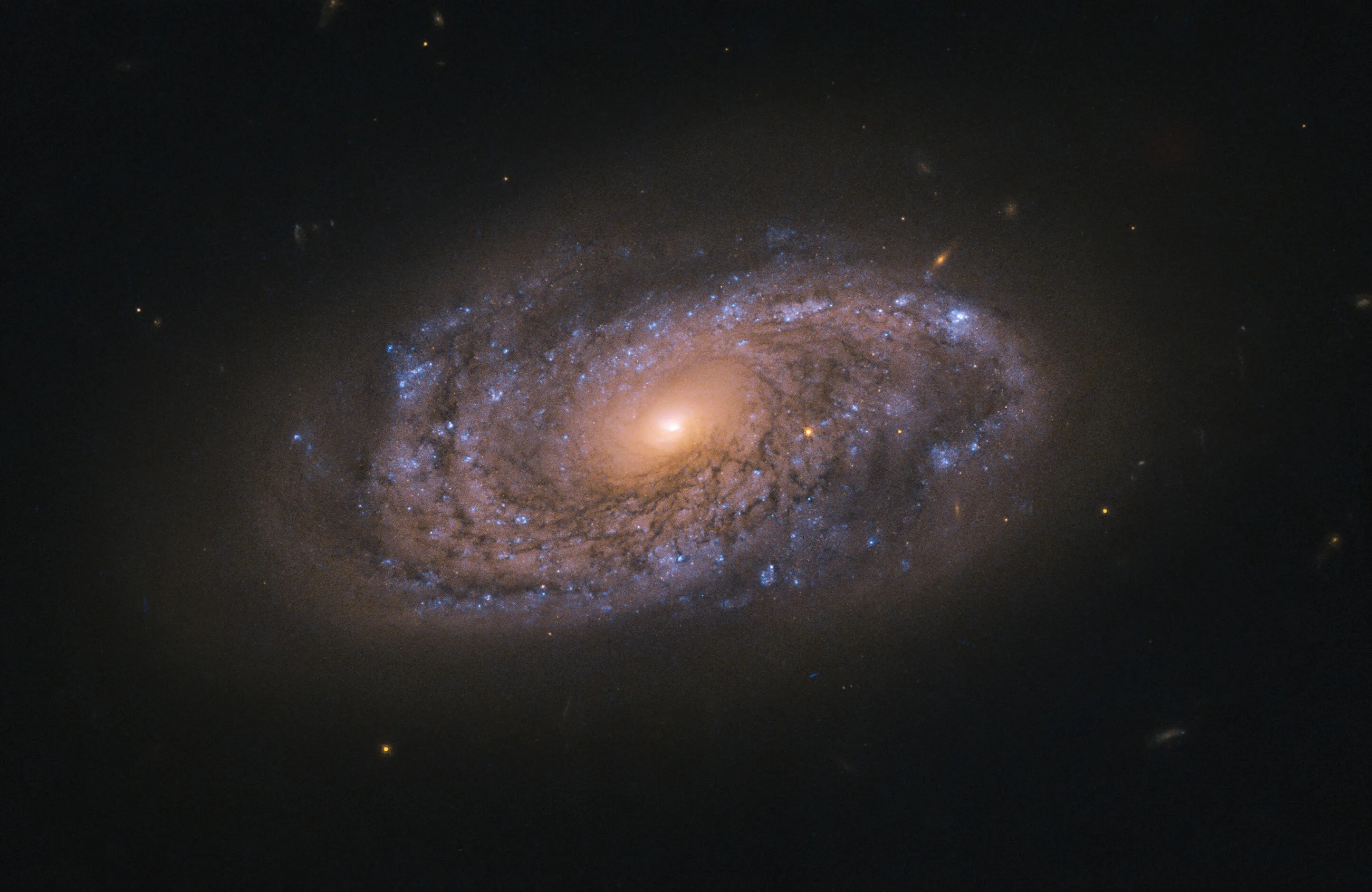 Swirling spiral galaxy named ngc 2906, as seen by hubble