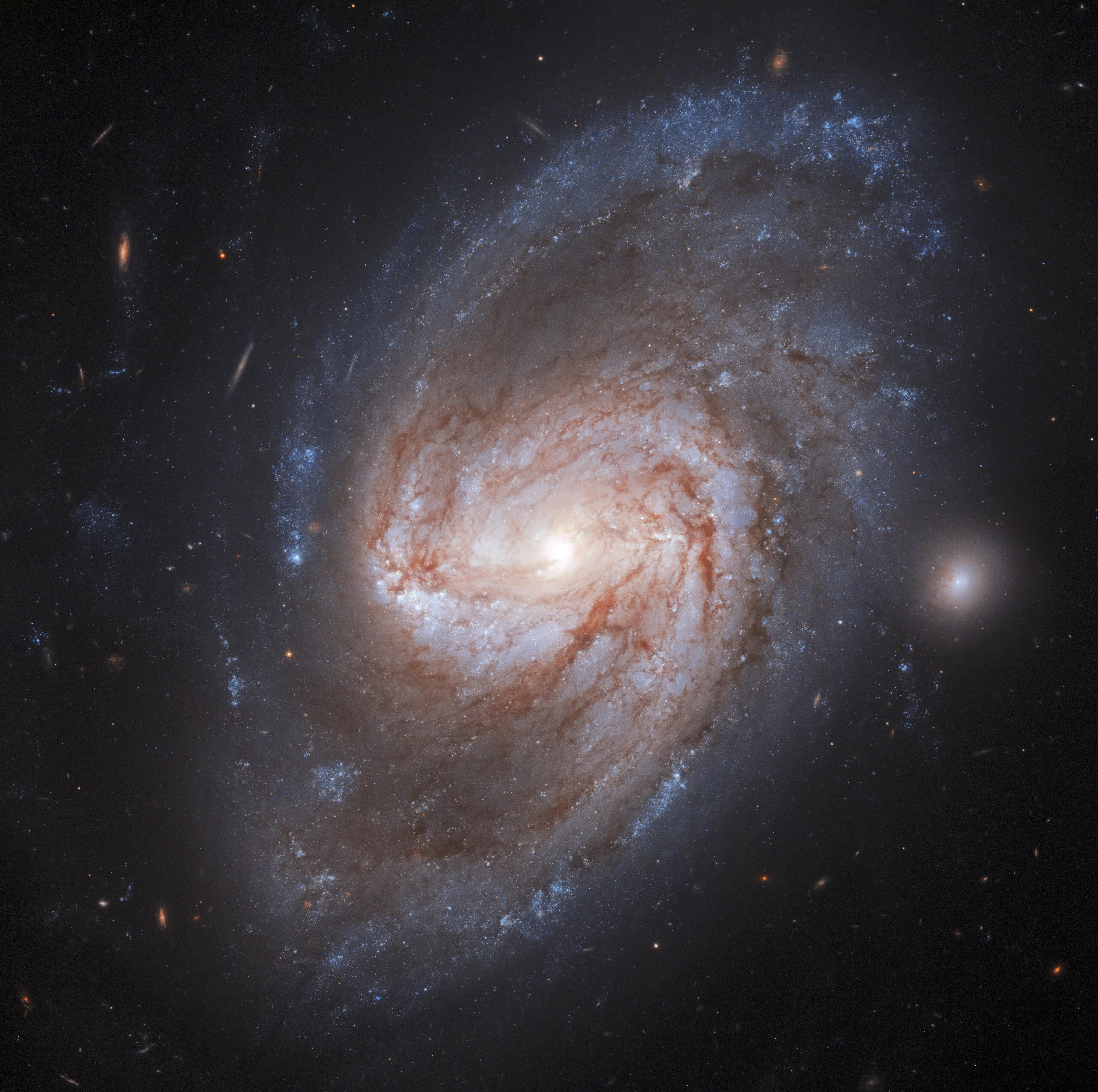 Hubble image of shining spiral galaxy ngc 3583