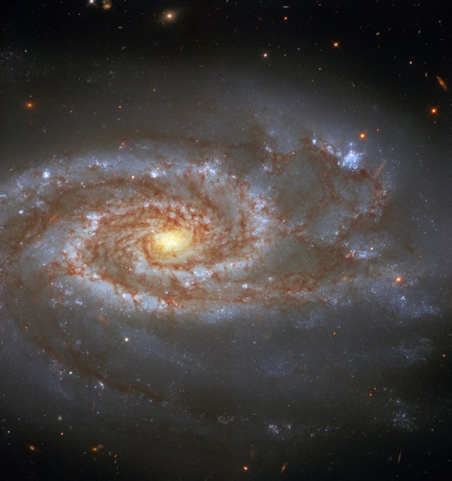 
			Hubble Views Galaxy Host to 2 Supernovae - NASA Science			