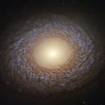 A galaxy with a large, yellow core shines against black space, surrounded by feathery, short spiral arms laced with dark brown dust and blue regions of star formation.