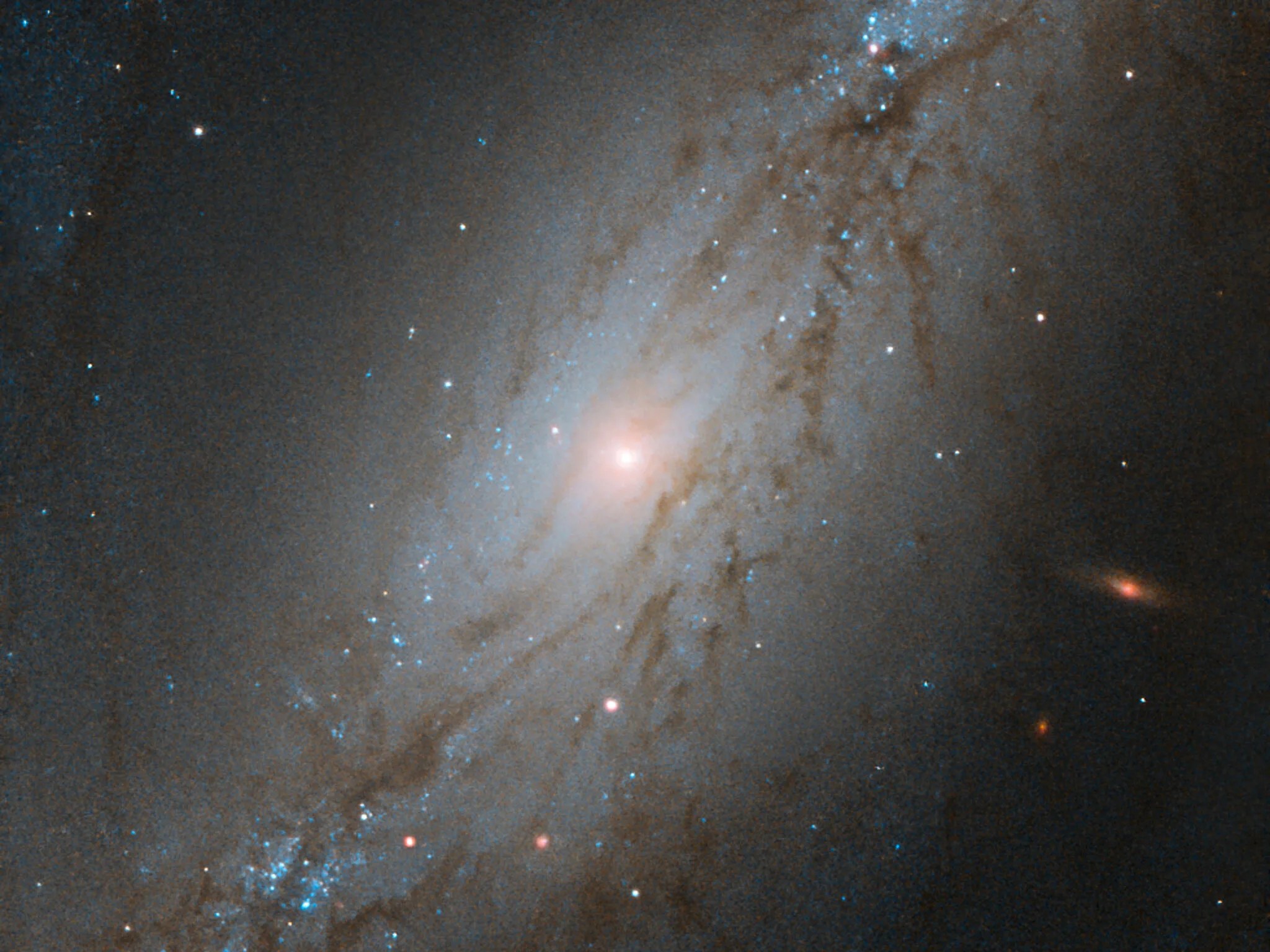 Barred spiral galaxy ngc 7513, against black backdrop of space