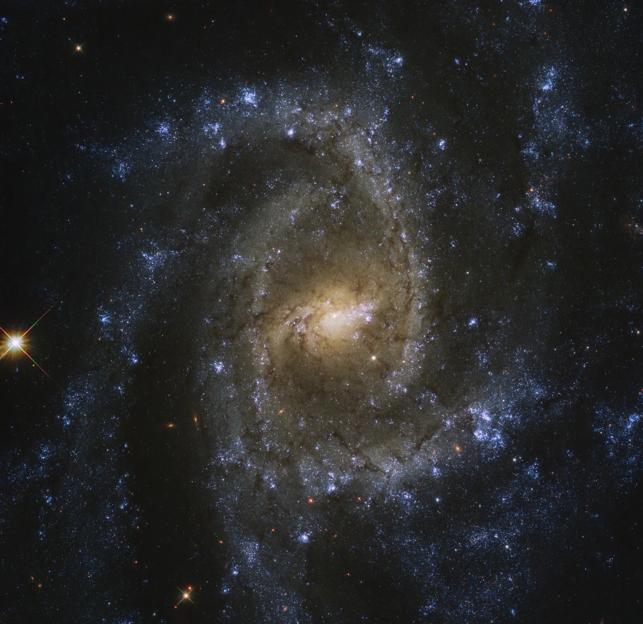 Top-down view of ngc 2835 and its spiral arms, against the black backdrop of space