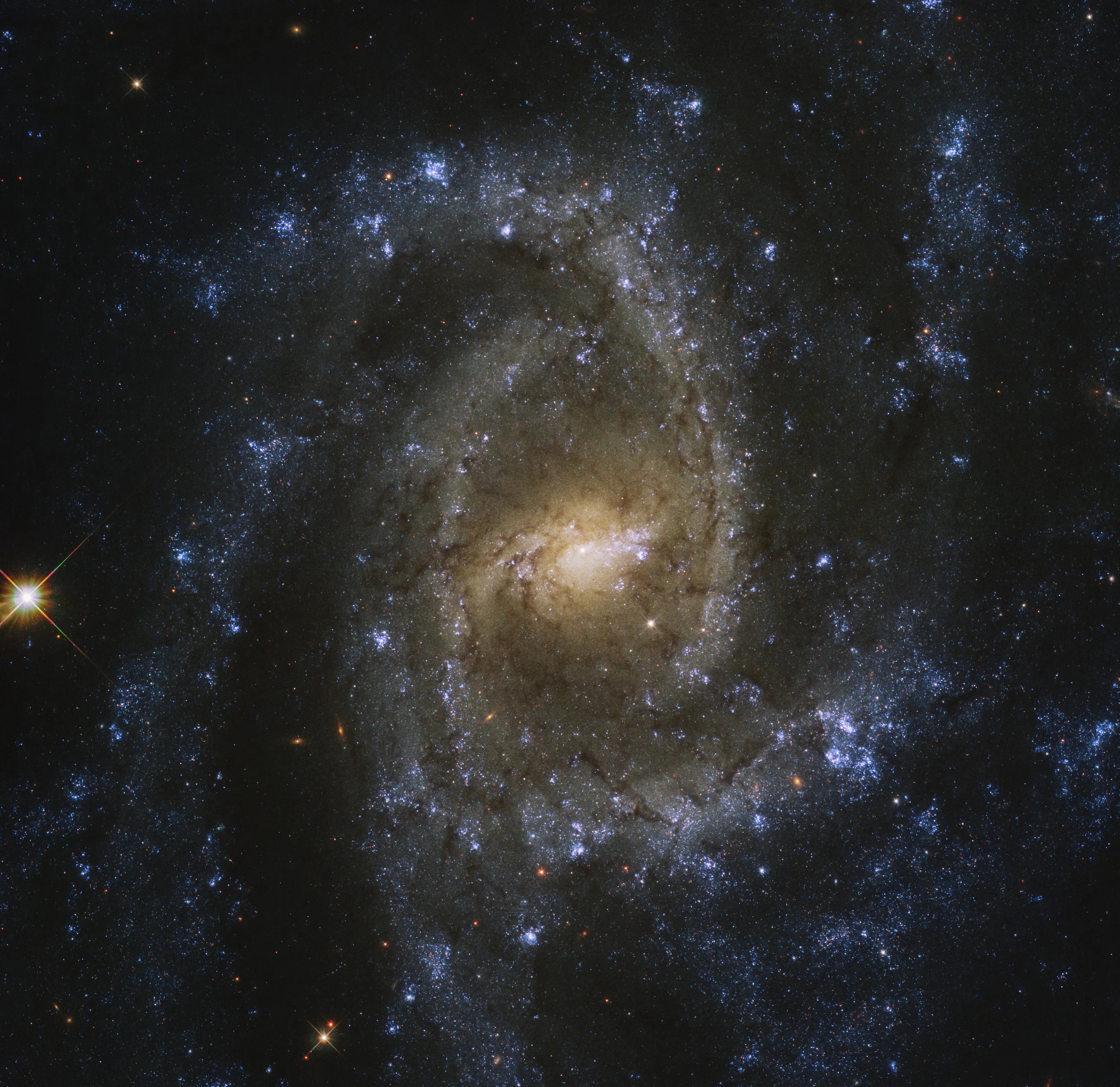Top-down view of ngc 2835 and its spiral arms, against the black backdrop of space
