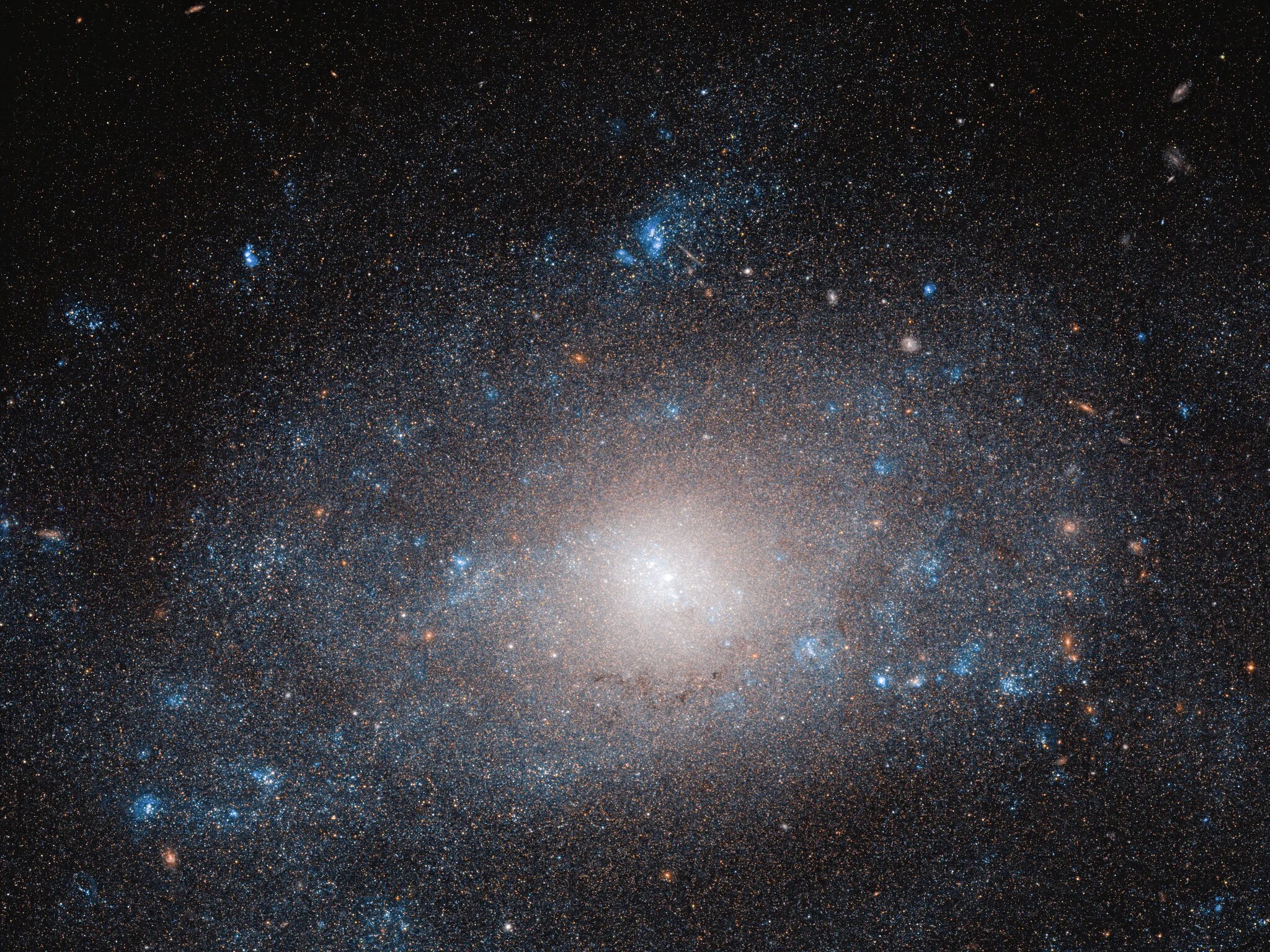 Glowing center and spiral arms, flecked with blue-hued stars, of galaxy ngc 5585 against the black backdrop of space