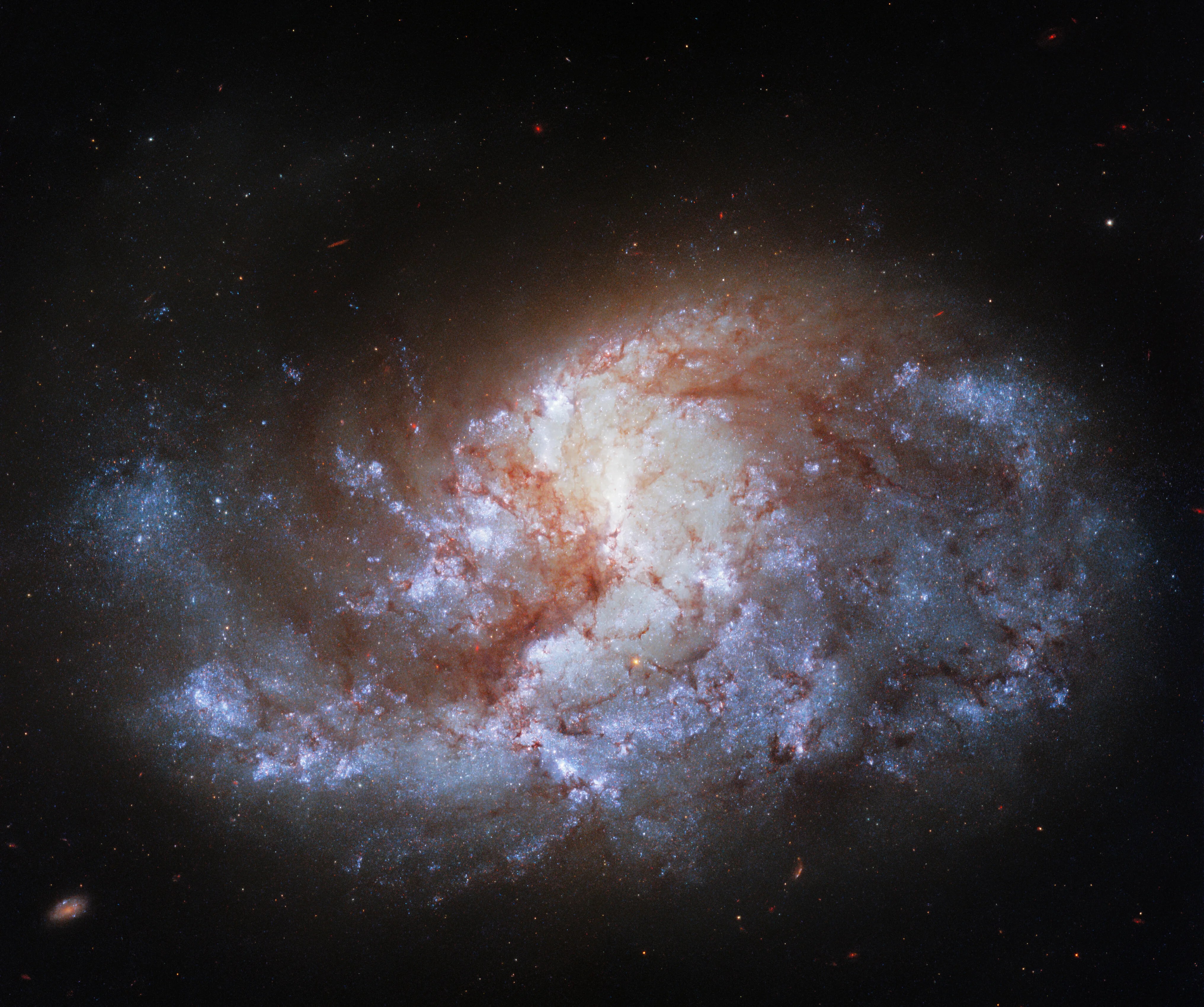 This jewel-bright image from the nasa/esa hubble space telescope shows ngc 1385, a spiral galaxy 68 million light-years from earth, which lies in the constellation fornax.