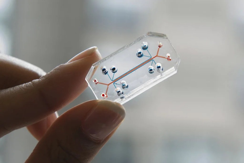 Person holding small scientific chip between their fingers.