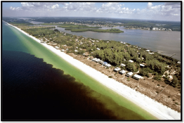 Photo of red tide along florida coast