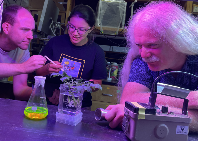 Photograph of three team members working at a table with a flask containing a yellow-green fluid, a clear canister with a rooted plant and a metal box.