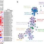 Infographic of genes affected from spaceflight represented by a grid of small squares colored in shades of red and blue and a network of colored circles connected by lines