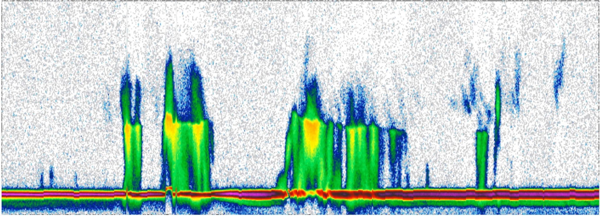 Color chart of precipitation profile of a Typhoon