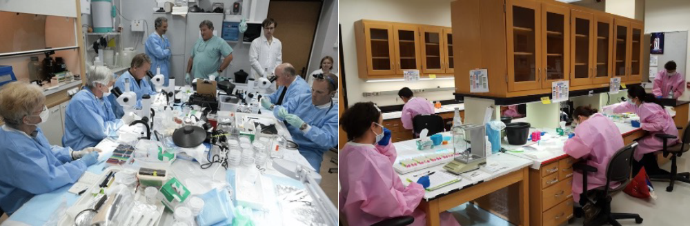 (Left): A group of scientists in blue lab coats seated around a table with microscopes and laboratory supplies. (Right): A group of scientists in pink lab coats seated around a lab bench with cabinets overhead.