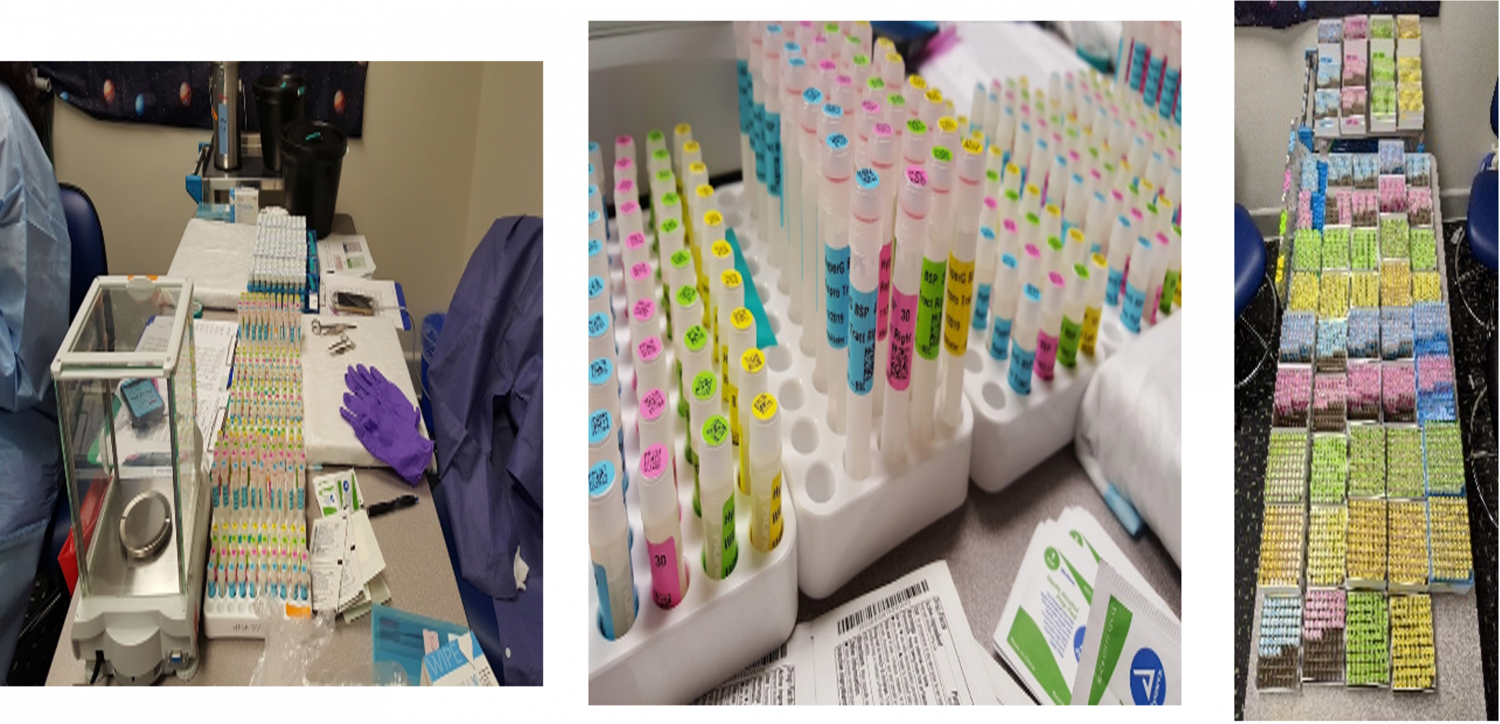 (Left): A rectangular table with workstations on the left and right sides, color-coded vials in the center, ice buckets and a metal container in the background, and an analytical balance in the foreground. Alt Text (Center): A close-up view of two different-sized, color-coded collection vials categorized in separate white racks. Text (Right): A birds-eye view of many boxes containing color-coded vials spread out over a table and a cart.
