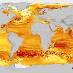 This visualization shows total sea level change between 1992 and 2019, with orange/red regions indicating where sea levels are rising.