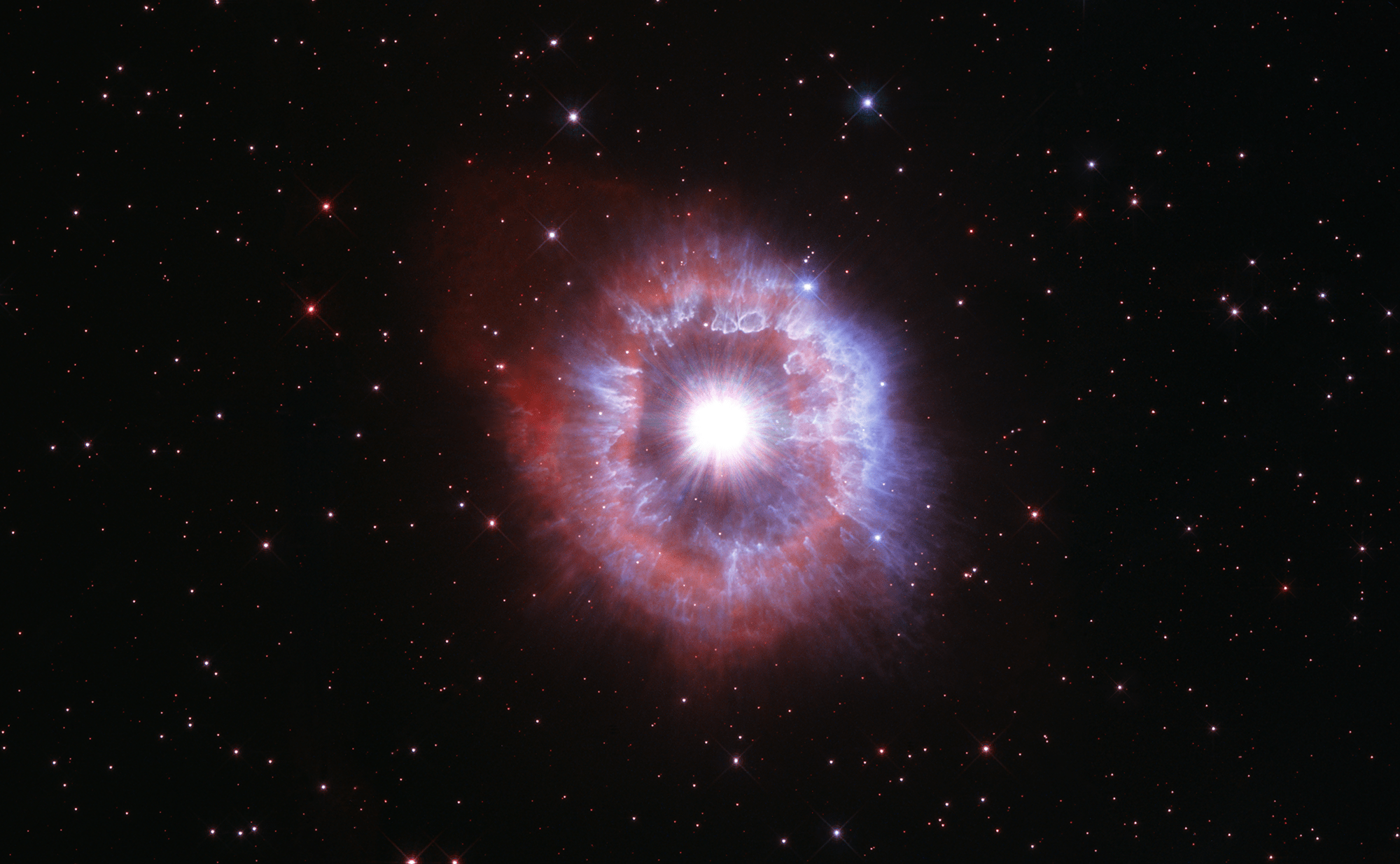 Bright-white star surrounded by a pinkish and white shell of gas. Black background dotted with stars.