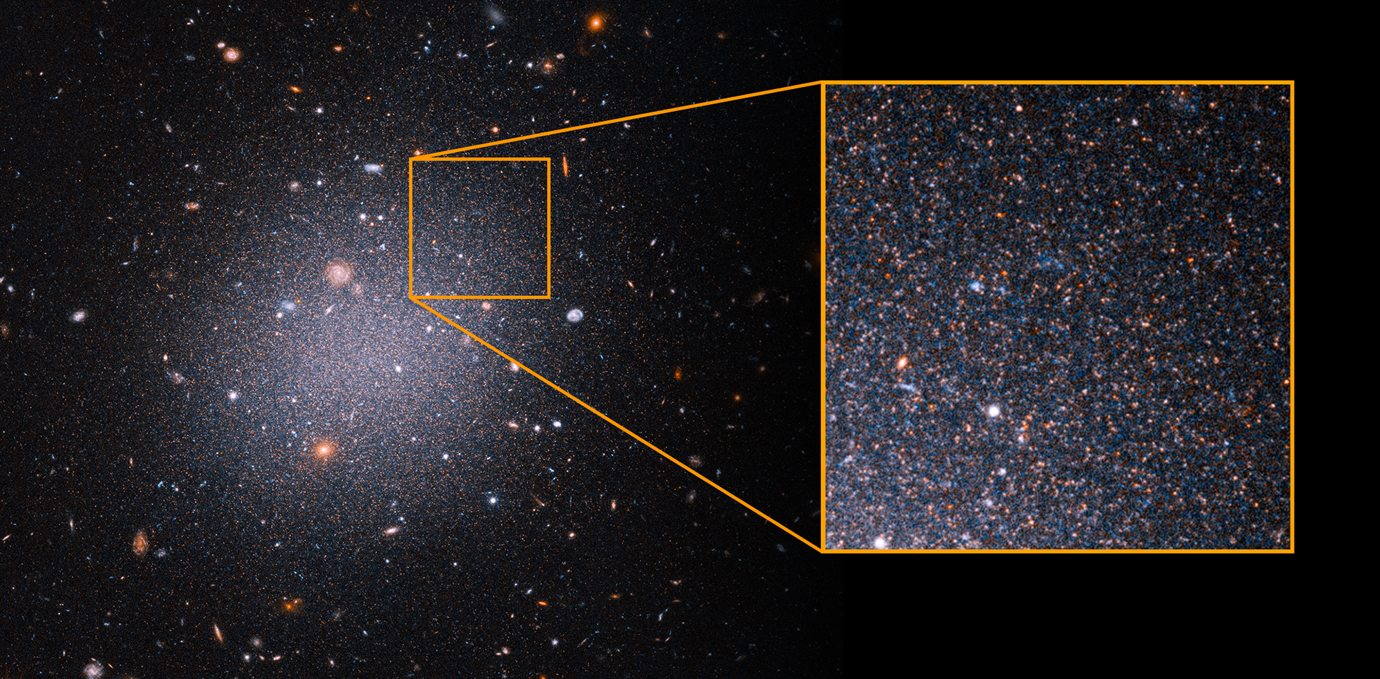 This Hubble Space Telescope image offers a sampling of aging, red stars in the ultra-diffuse galaxy NGC 1052-DF2, or DF2.