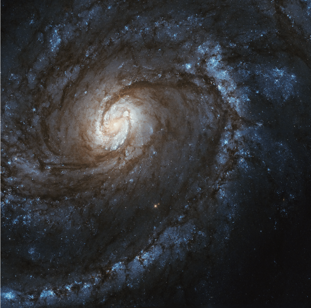A bright yellow core is visible near the right center of the image, surrounded by dark spiraling arms laced through with brown dust and bright blue regions of new stars.