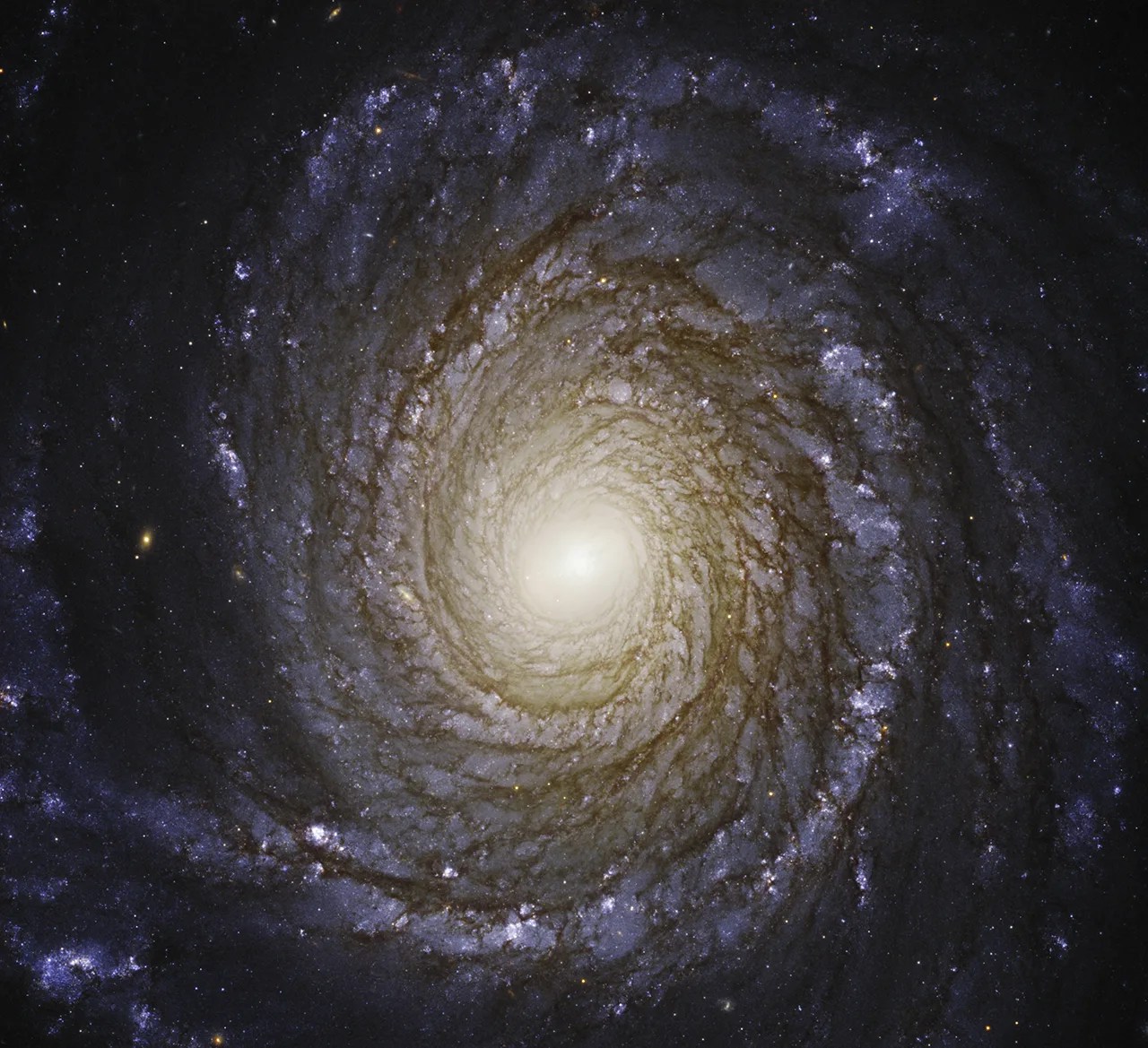 Spiral galaxy NGC 3147 with a glowing golden core and bluish arms seen face-on.