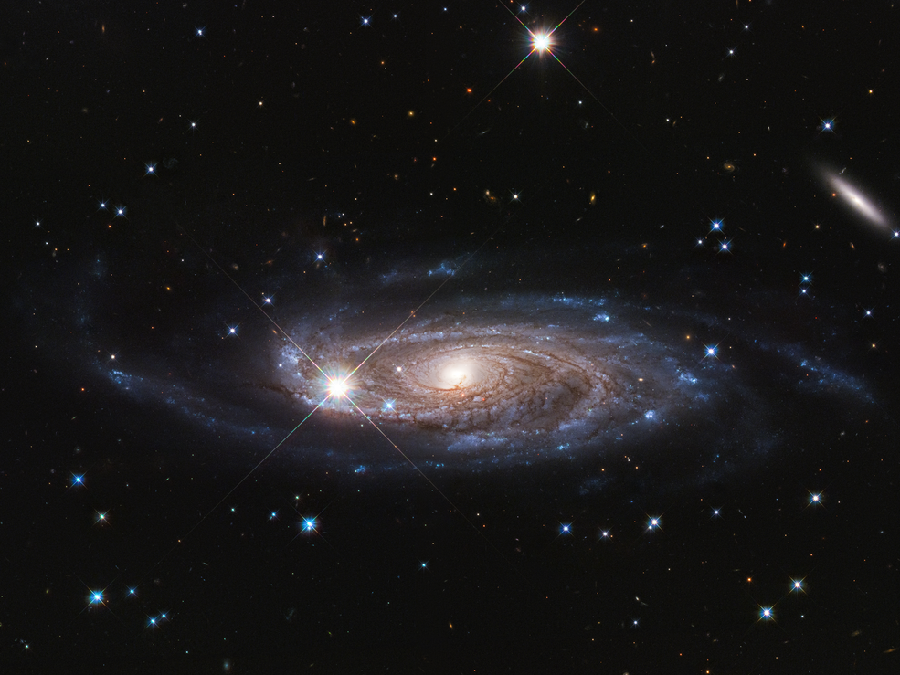 Seen almost flat, the galaxy UGC 2885 shines against black space dotted with distant stars and galaxies. UGC 2885 has a bright yellow core and spiral arms surrounding it.