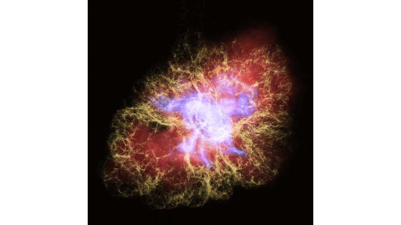 This new multiwavelength image of the Crab Nebula combines X-ray light from the Chandra X-ray Observatory (in blue) with visible light from the Hubble Space Telescope (in yellow) and infrared light seen by the Spitzer Space Telescope (in red). This particular combination of light from across the electromagnetic spectrum highlights the nested structure of the pulsar wind nebula. The X-rays reveal the beating heart of the Crab, the neutron-star remnant from the supernova explosion seen almost a thousand years ago. This neutron star is the super-dense collapsed core of an exploded star and is now a pulsar that rotates at a blistering rate of 30 times per second. A disk of X-ray-emitting material, spewing jets of high-energy particles perpendicular to the disk, surrounds the pulsar. The infrared light in this image shows synchrotron radiation, formed from streams of charged particles spiraling around the pulsar's strong magnetic fields. The visible light is emission from oxygen that has been heated by higher-energy (ultraviolet and X-ray) synchrotron radiation. The delicate tendrils seen in visible light form what astronomers call a "cage" around the rich tapestry of synchrotron radiation, which in turn encompasses the energetic fury of the X-ray disk and jets. These multiwavelength interconnected structures illustrate that the pulsar is the main energy source for the emission seen by all three telescopes. The Crab Nebula resides 6,500 light-years from Earth in the constellation Taurus.