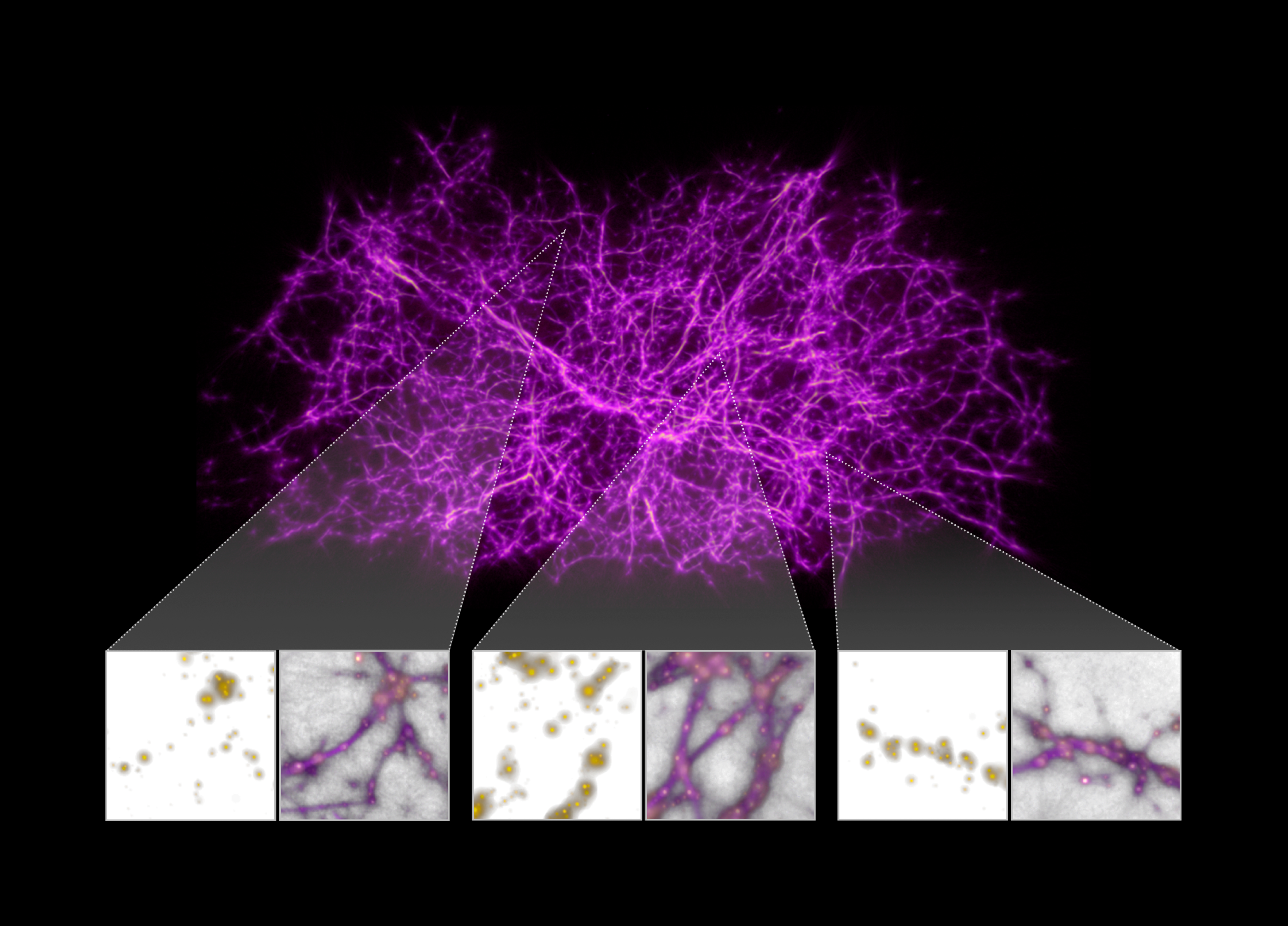 Illustration: Purple filaments fill the view against a black background. They represent the growth of slime mold.