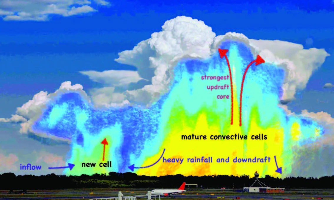 Diagram illustrating the anatomy of a deep convection cloud