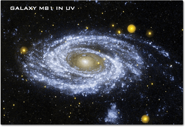 A view of the spiral Galaxy M81 in ultraviolet reveals thousands of young stars in blue and older start in yellow.