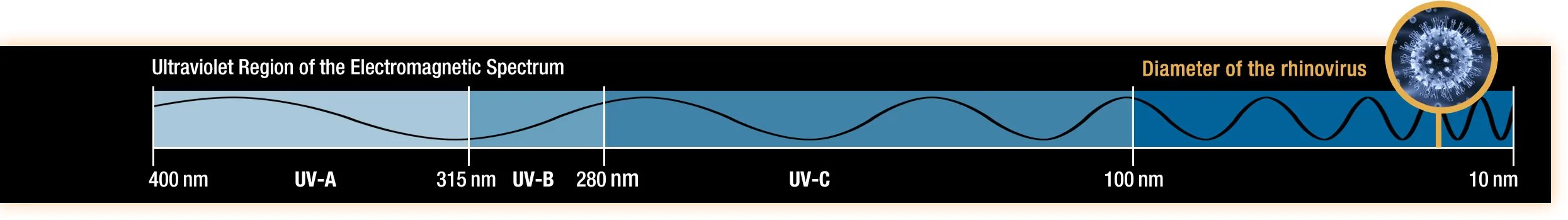 Illustration of an ultraviolet wave on the electromagnetic spectrum