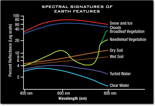 A graph showing wavelengths in nanometers on the x-axis and percent reflectance on the y-axis. Snow, ice and clouds show a high reflectance across all wavelengths. Dry soil, wet soil, turbid water and clear water all seem to reflect similar values in the blue and green wavelengths, but have very different value closer to red and infrared where soils reflect more than water. Vegetation reflects more in the green and infrared than in the blue and red.