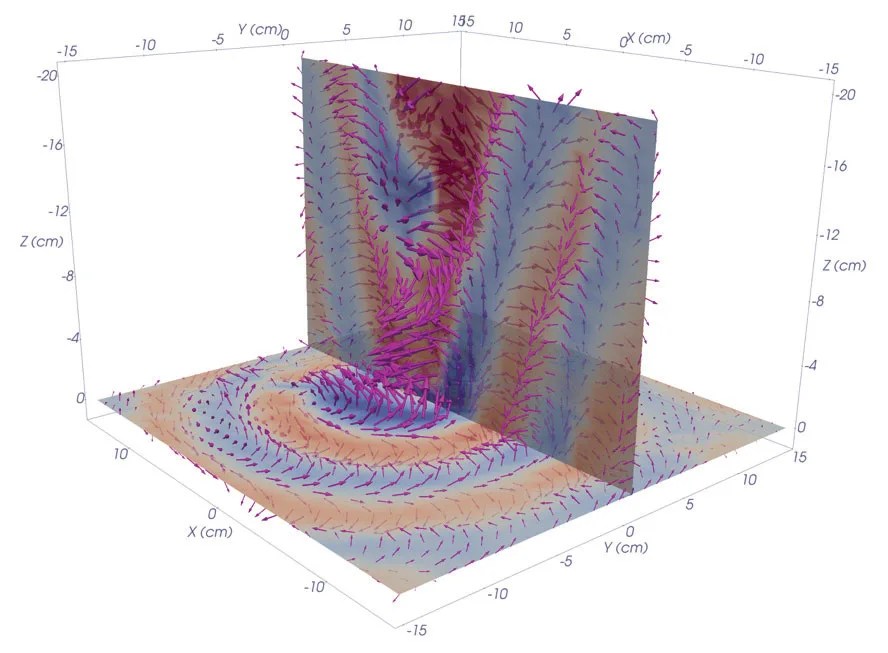 Image of whistle waves