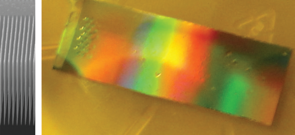 Photo of electron micrograph