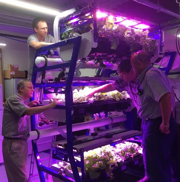 Photo of four men looking at plants under grow lights in a laboratory