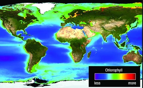 Image using color to represent different levels of chlorophyll in the oceans and on land