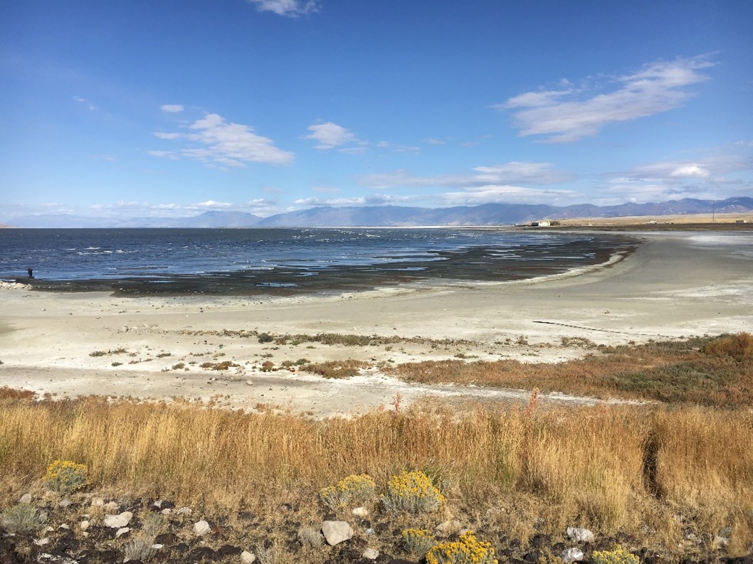 Great Salt Lake depicted from the shoreline in the middle left of screen is the water, the foreground has dry and brown vegetation that can be seen curving, mirroring the curve of the water's edge with a seemingly wide expanse of salted dried lake bed between