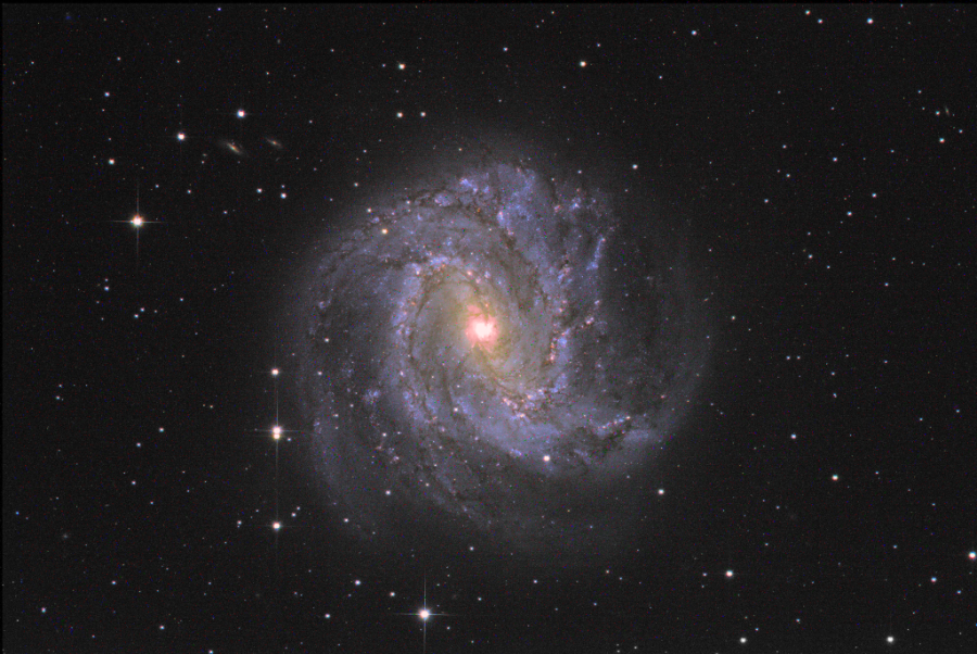 The Pinwheel galaxy is a spiral galaxy. It is purple with a bright center set against a black background with various white spots thorughout.
