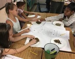 4th grade students examine small rocks on paper plates