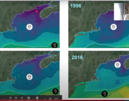 Heat maps of the Gulf of Maine from 1986, 1996, 2006, and 2016.