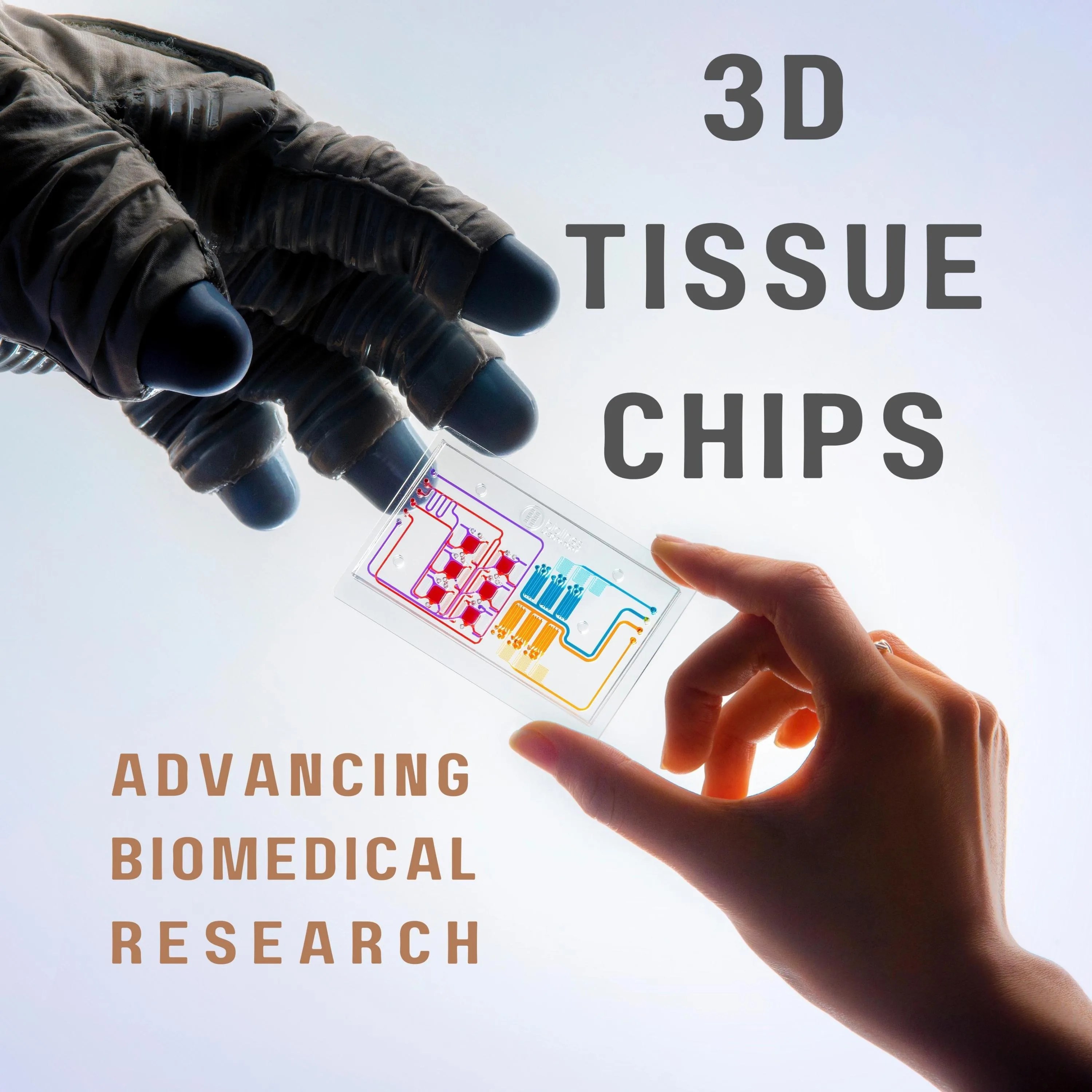 Image of a gloved hand and normal hand exchanging a colorful chip; text reads 3D tissue chips advanced biomedical research