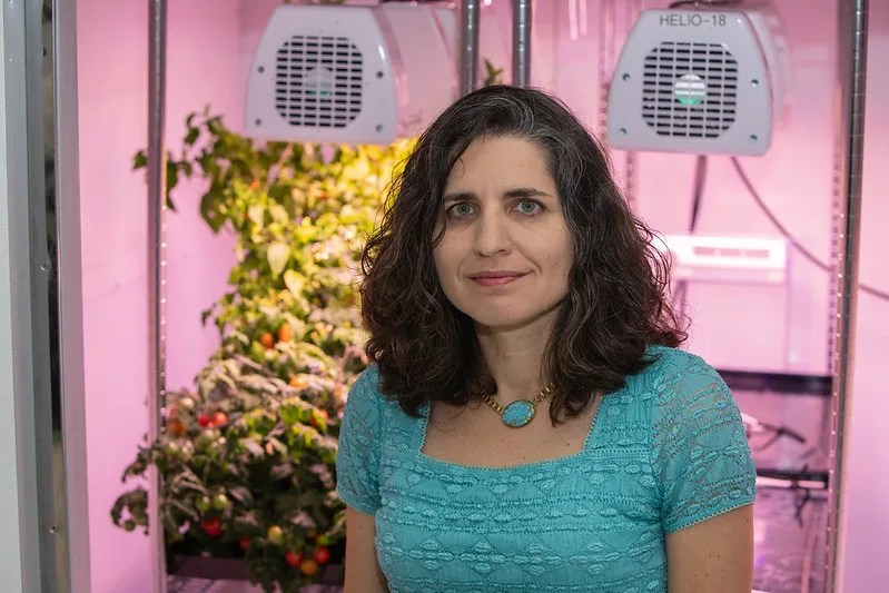 Portrait photo of a dark haired woman in a turquoise shirt with a pink background behind her