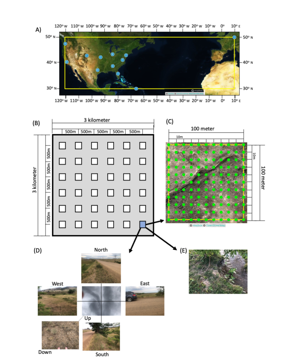 The image shows examples of images produced during the gridded, systematic collection of citizen science data that can be compared with coinciding satellite data. From https://doi.org/10.3389/fclim.2021.658063