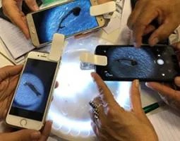 Three smartphones being used as microscopes