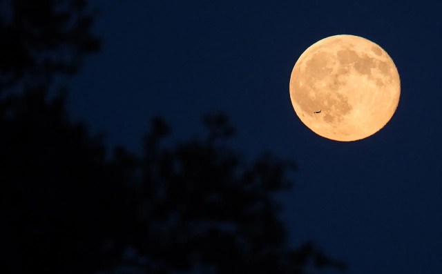 
			May 2019: The Next Full Moon is a Blue Moon - NASA Science			