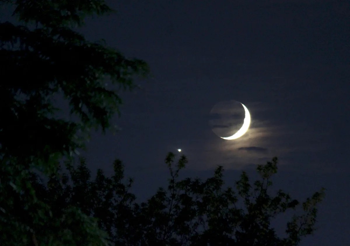 Crescent moon and Venus over trees.